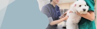 新手主人須知