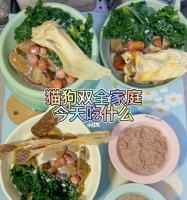 宠物猫的饮食需求与养护（2个月大的小猫饮食指南及注意事项）