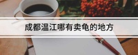 成都温江哪有卖龟的地方