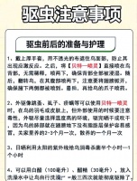 鸟类寄生虫如何清除(鸟寄生虫怎么清理)