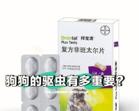 宠物狗如何清除体内寄生虫?(选择合适的药物保护你的爱犬免受寄生虫侵害)