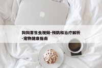 狗狗寄生虫视频