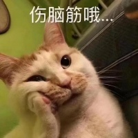 猫咪“掉毛”有救啦，这5款猫粮直接码住！