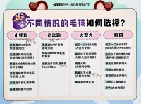 李佳琦直播间618宠物消费观察：科学喂养成主流，国货品牌受青睐