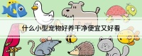 什么小型宠物好养干净便宜又好看