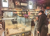 “异宠”流行，市场规模近百亿元，但需注意—— “异宠”不可随意宠