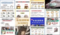 仓鼠湿尾症怎么抢救