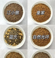 家中三只猫的猫粮选择指南是什么？如何平衡营养？