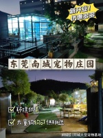 东莞买狗买猫的地方在哪里？此处安全可靠且可实体店挑选选宠！