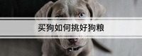 买狗如何挑好狗粮