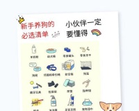 幼犬的狗粮泡法及选购指南（为宠物幼犬提供正确的饮食习惯）