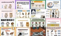 家猫智商排行