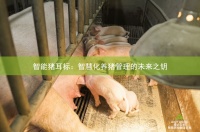 智能猪耳标：智慧化养猪管理的未来之钥AIOTAGRO 爱农云联