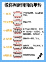 如何判断狗骨量（脚背被砸怎么判断骨折）