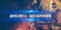 最终幻想14：陆行鸟养育指南