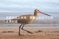 买鹦鹉怎么挑选，掌握这些技巧让你不再纠结