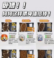 健康宠物，合理饮食——狗狗一天应该吃多少？（如何合理控制狗狗的饮食量？（）