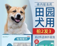 狗狗生完后应该吃什么?营养补充和饮食调整指南?