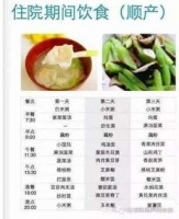 产后母狗营养食谱推荐