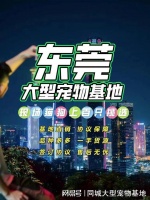 东莞目前哪里有狗市猫市？安全可靠，可实体店挑选心仪的宠物！