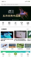 养鸟岛app下载