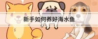 新手如何养好海水鱼