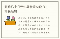 狗狗几个月开始具备看家能力?家长须知