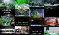 鱼缸造景新手教程