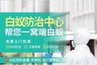 武汉灭老鼠公司