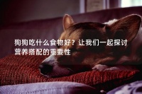 狗狗吃什么食物好？让我们一起探讨营养搭配的重要性