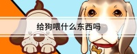 给狗喂什么东西吗