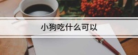 小狗吃什么可以