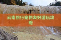 云南旅行宠物友好游玩攻略