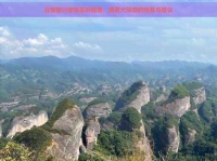 云南旅行宠物友好指南：携爱犬同游的推荐与建议