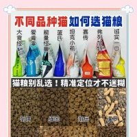 猫粮含香精对猫咪有害吗？应该选择哪种猫粮？
