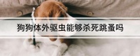 狗狗体外驱虫能够杀死跳蚤吗