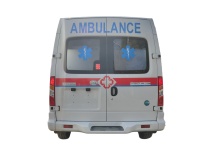宠物120急救车：宠物健康的守护神