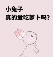 兔子的蔬菜饮食指南（兔子的健康食谱和蔬菜选择）