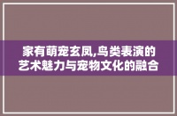 家有萌宠玄凤,鸟类表演的艺术魅力与宠物文化的融合
