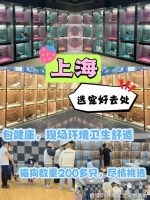 上海哪里有卖宠物的市场?这里实体店选购宠物，安全更值得信赖