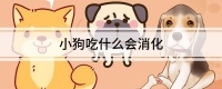小狗吃什么会消化