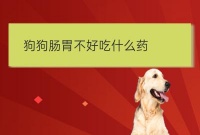 河北宠物培训狗吃鸡骨头划伤胃征兆:狗狗肠胃宝有什么用