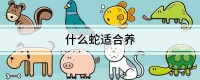 什么蛇适合养