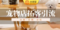 宠物店充值活动怎么做效果好 宠物店营销
