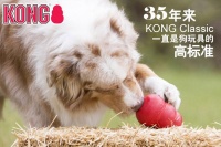 养宠生活更美好：实用宠物用品大推荐