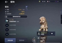 黑沙手游宠物系统讲解 合理利用才能全面发展