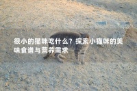 很小的猫咪吃什么?探索小猫咪的美味食谱与营养需求