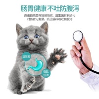 幼猫营养关键期,选对食物是关键!