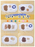 3个月美短的食谱:营养均衡,健康成长