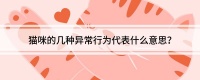 猫咪的几种异常行为代表什么意思？